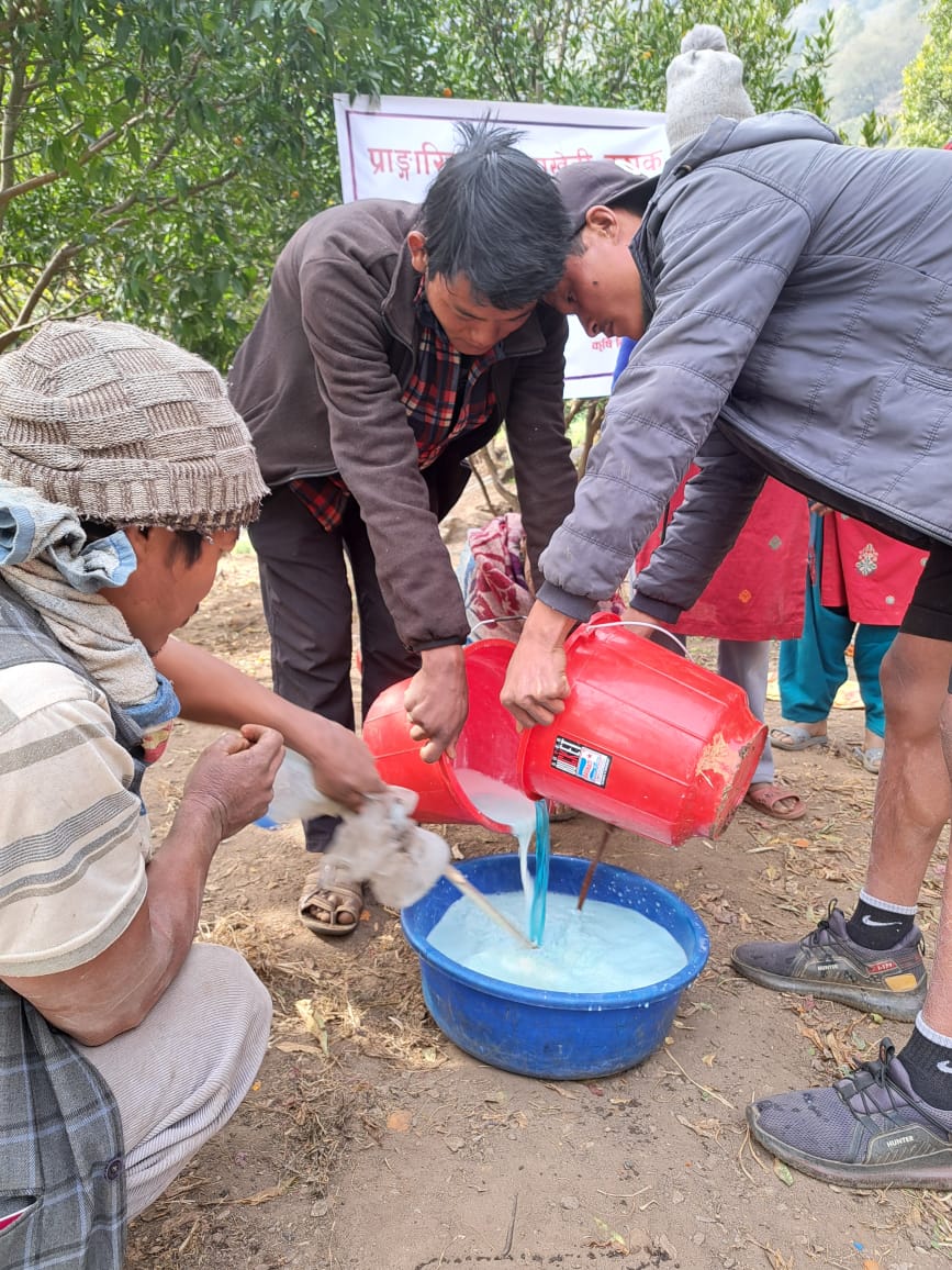 बोर्डो मिश्रण बनाउने तरिका सिकाउदै